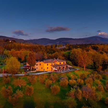 Tenuta Risalpiano Pelago Exterior photo
